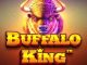 Buffalo King
